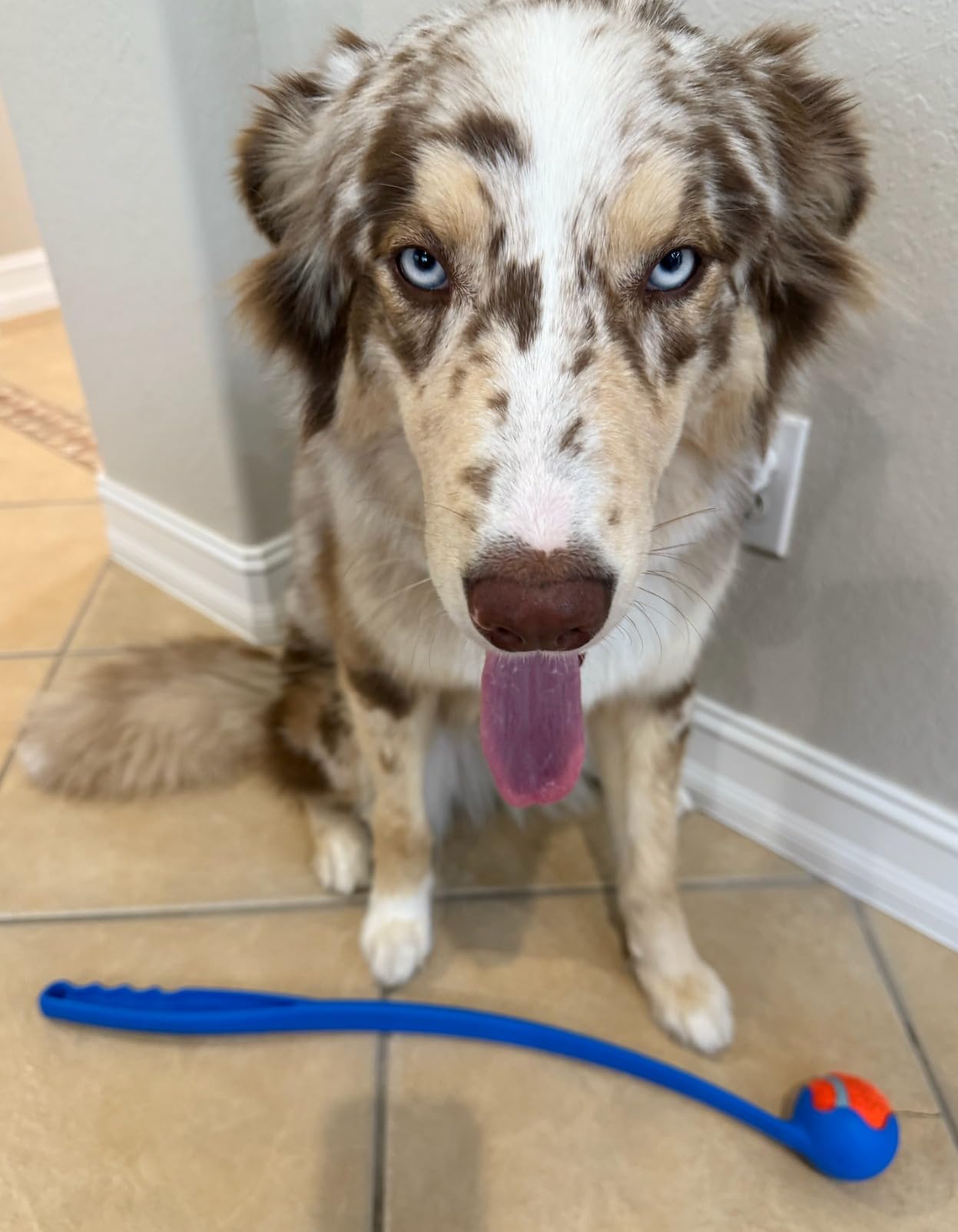 Jessica R., Austin, TX