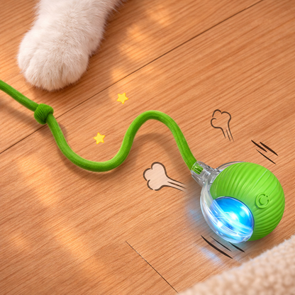 PurrBall Interactive Ball Toy with Tail for Cats