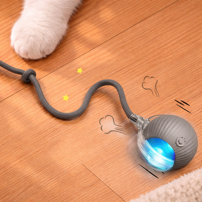 PurrBall Interactive Ball Toy with Tail for Cats
