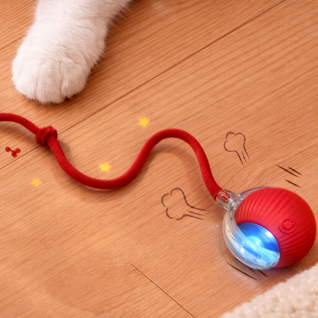 PurrBall Interactive Ball Toy with Tail for Cats