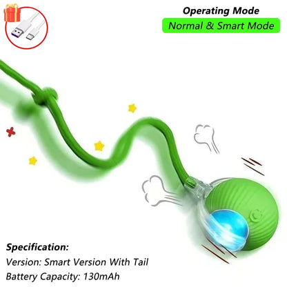 Interactive Ball Toy with Tail for Cats